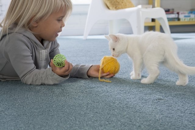 young girl playing with kitten and yarn on carpet