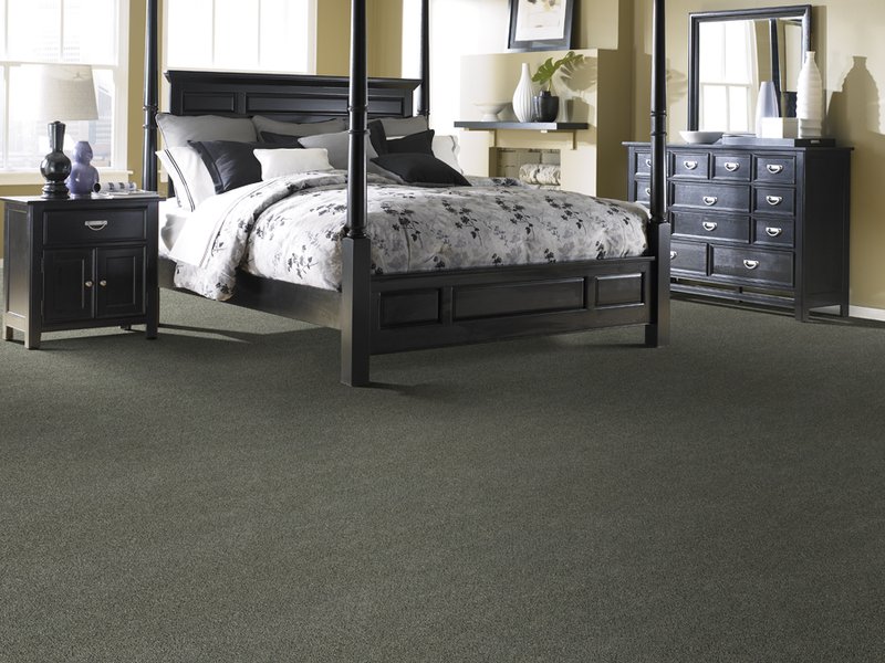 2546-Sophisticate carpet by Coronet with bed on carpet
