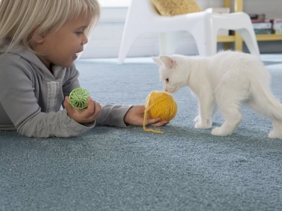 young girl playing with kitten and yarn on carpet